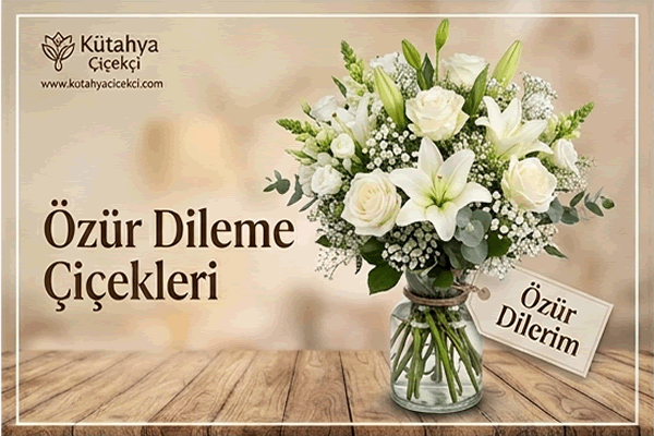 Özür Dileme Çiçekleri Kategorisi