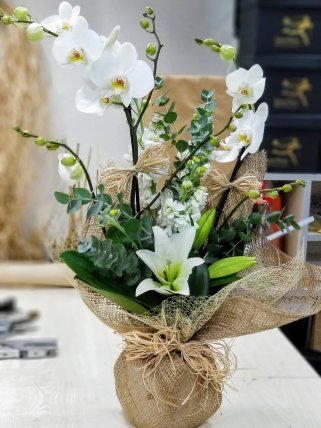 Kütahya Çiçekçi Beyaz Lilyum ve Orkide