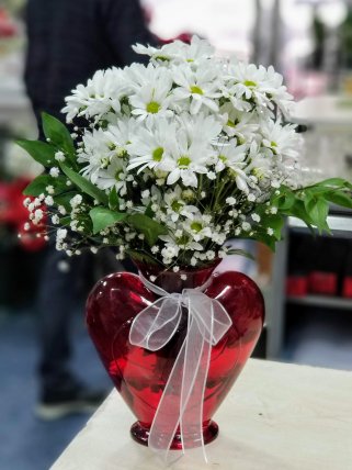 Kalp Vazoda Papatyalar