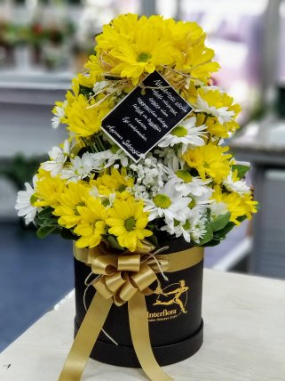 Kutuda Sarı Beyaz Papatyalar