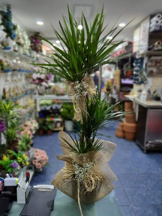 Kütahya Çiçekçi Üçlü Marginata