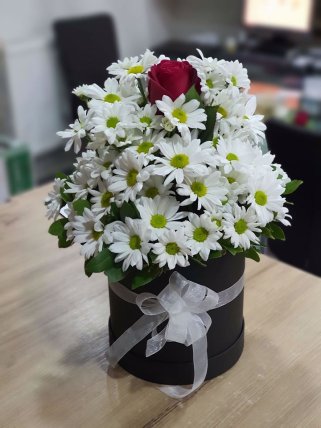 Kutuda Beyaz Papatya Aranjmanı