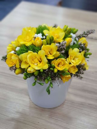 Seramik Saksıda Frezya Çiçeği