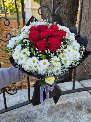 Güller Papatya İçinde