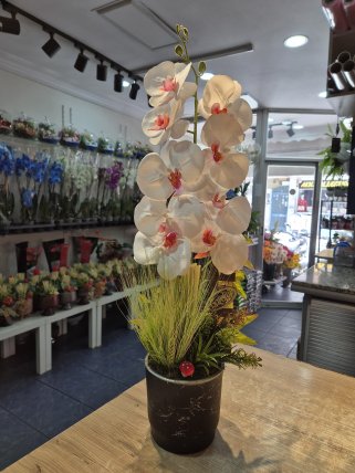 Kütahya Yapay Orkide