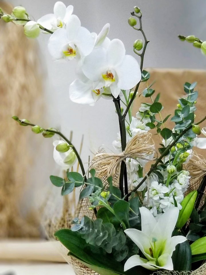 Kütahya Çiçekçi Beyaz Lilyum ve Orkide