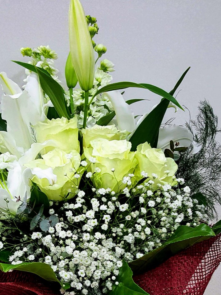 Beyaz Güller ve Kazablanka