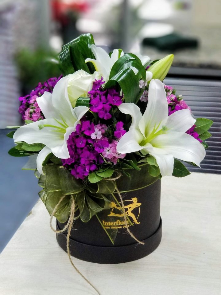 Kutuda Pembe Hüsnü Yusuf ve Kazablanka Aranjmanı