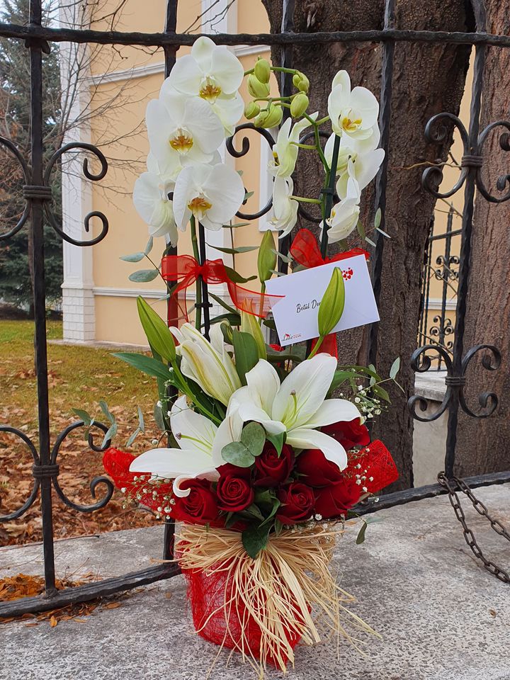 Kütahya çiçekçi Özel Orkide 