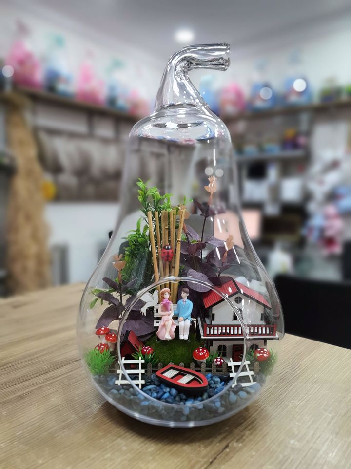 Büyük Boy Armut Teraryum Hobi Bahçesi