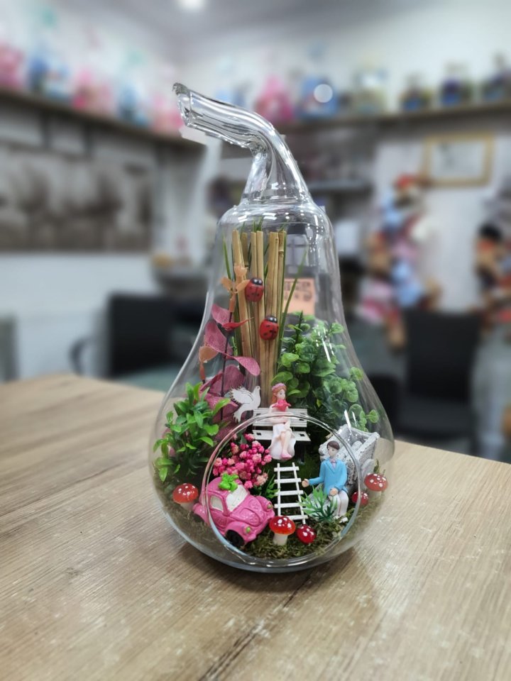 Orta Boy Armut Teraryum Hobi Bahçesi Kütahya Çiçekçilik