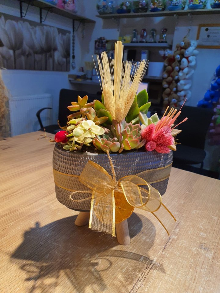 Sculent Aranjman Kütahya