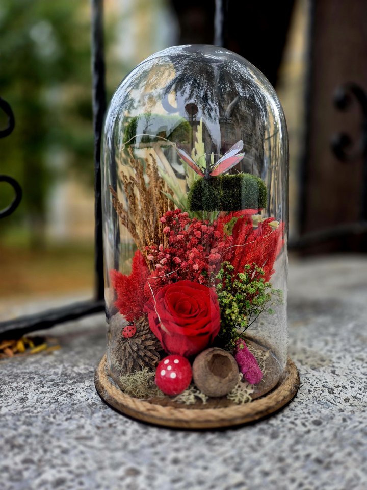 Solmayan Gül Teraryum - 1, Kütahya Çiçekçi