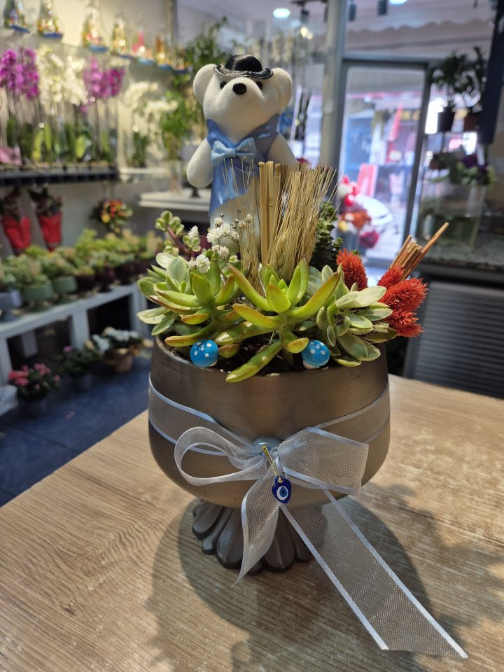 Sculent Güzelliği 1