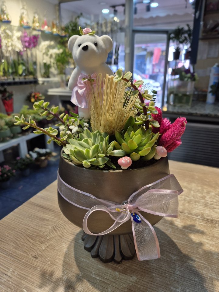 Sculent Güzelliği 2