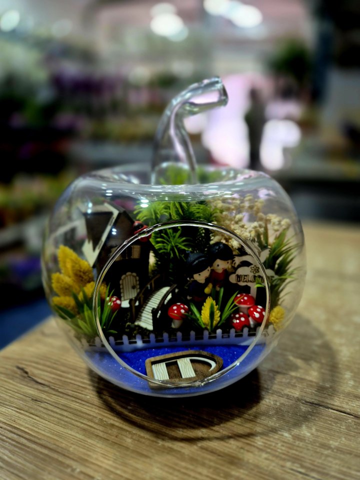 Orta Boy Elma Teraryum Hobi Bahçesi