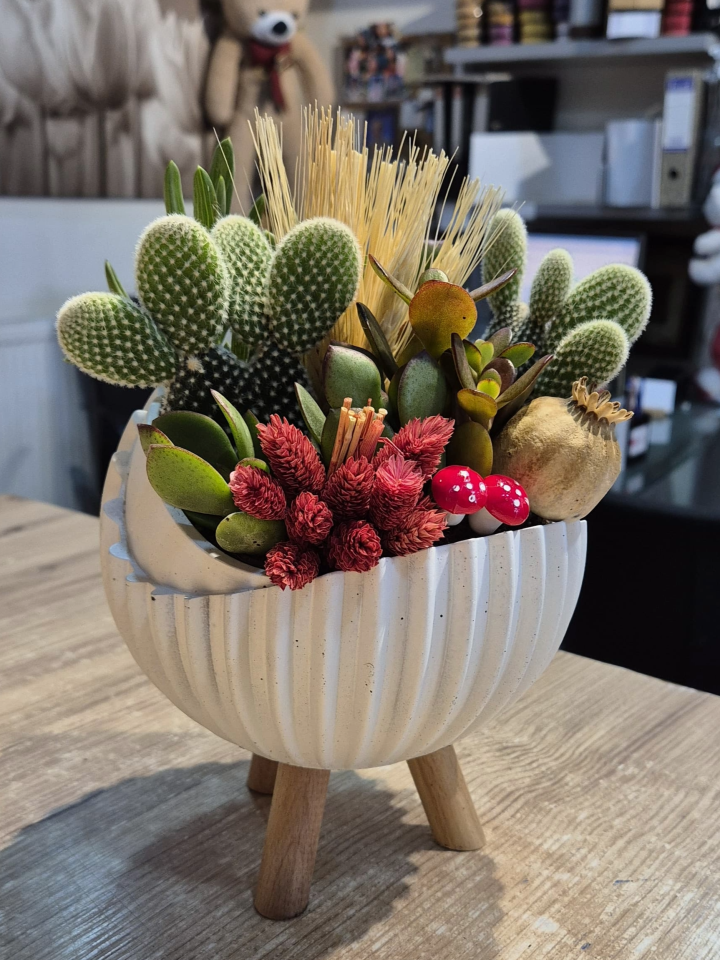 Özel Bitki Aranjman