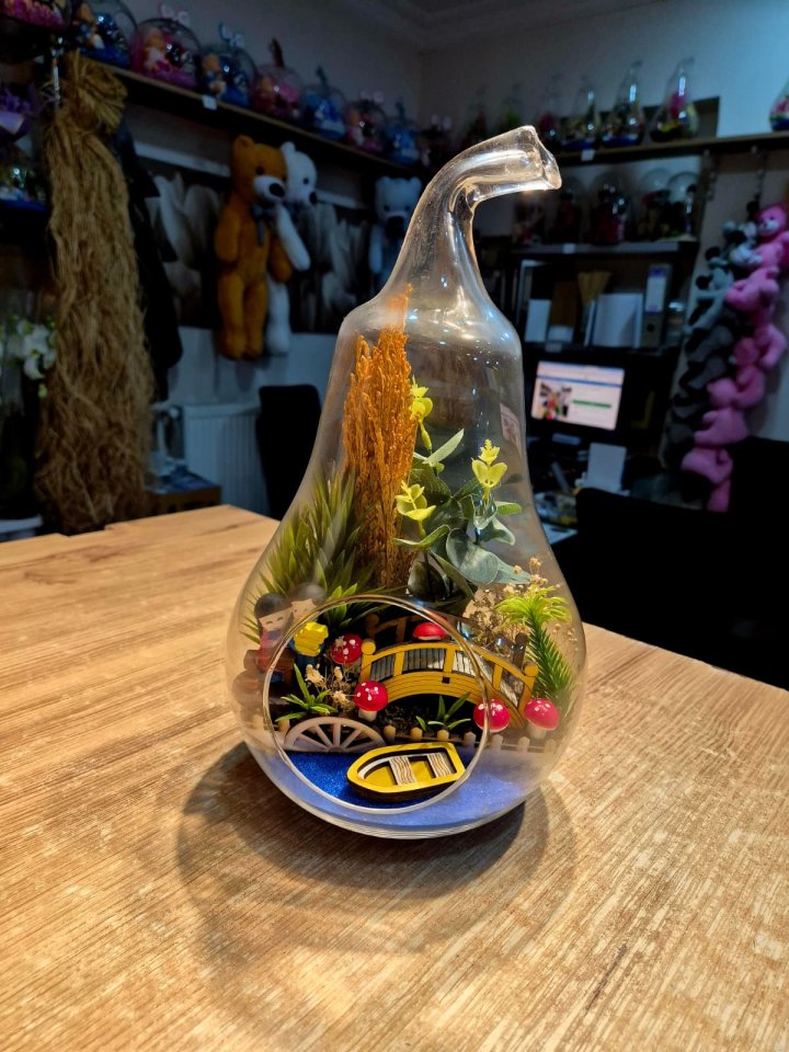 Orta Boy Armut Teraryum Hobi Bahçesi Kütahya Çiçekçilik