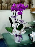 Çiçekçi - İkili Mor Orkide