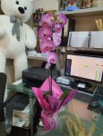 Çiçekçi - Pembe Orkide