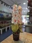 Çiçekçi - Yapay Orkide